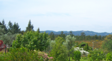 Beautiful views of gardens, pine forests and rolling green hills to distant mountains.